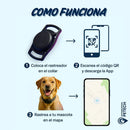 Rastreador para Mascotas